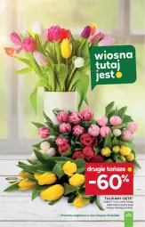 Gazetka promocyjna Stokrotka - Supermarket - Gazetka - ważna od 22.04 do 22.04.2025 - strona 11 - produkty: Tulipan