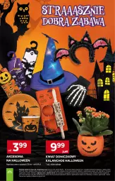 Gazetka promocyjna Stokrotka - Supermarket - Gazetka - ważna od 29.10 do 29.10.2025 - strona 25 - produkty: Warzywa, Kalanchoe, Owoce, Mięso