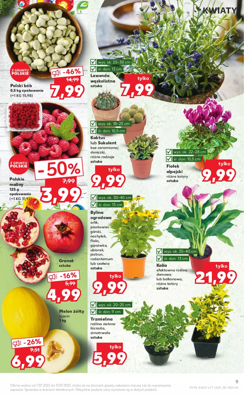 Gazetka promocyjna Kaufland - OFERTA TYGODNIA - ważna 07.07 do 13.07.2022 - strona 9 - produkty: Gra, Granat, Kaktus, Maliny, Melon, Sukulent