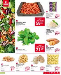 Gazetka promocyjna Selgros - Oferta gastronomiczna - Gazetka - ważna od 19.04 do 19.04.2023 - strona 2 - produkty: Chrzan, Cebula, Sos, Surówka, Cebula szalotka, Szal, Ziemniaki, Sałat, Bazyl, Bazylia, Boczniak