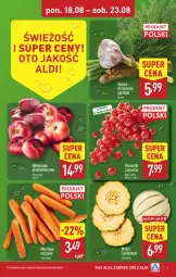 Gazetka promocyjna Aldi - Pełna oferta - Gazetka - ważna od 23.08 do 23.08.2025 - strona 5 - produkty: Por, Porzeczki czerwone, Melon, Nektar
