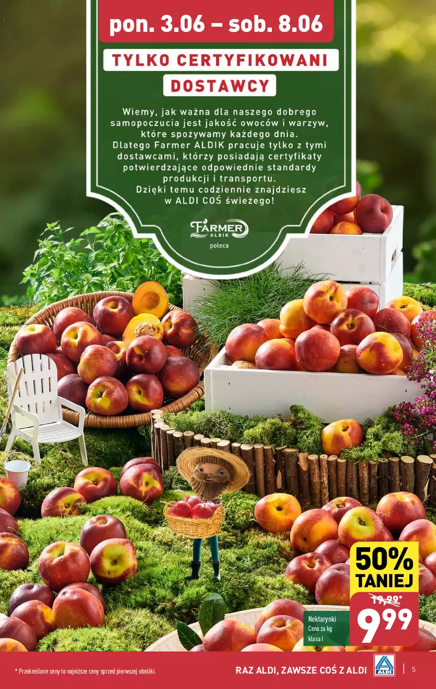 Gazetka promocyjna Aldi - Pełna oferta - ważna 03.06 do 08.06.2024 - strona 5 - produkty: Nektar