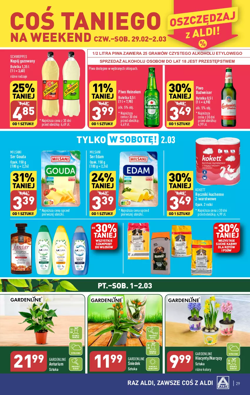 Gazetka promocyjna Aldi - Pełna oferta - ważna 26.02 do 02.03.2024 - strona 29 - produkty: Edam, Gouda, Gra, Heineken, Hiacynt, Napój, Napój gazowany, Narcyz, Piwa, Piwo, Ręcznik, Rolki, Schweppes, Ser, Szampon