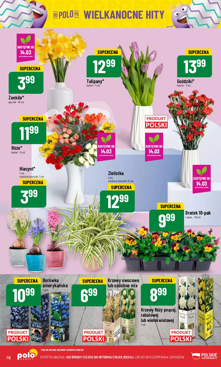 Gazetka promocyjna PoloMarket - Gazetka pomocyjna - ważna 13.03 do 19.03.2024 - strona 78 - produkty: Borówka, Bukiet, Hiacynt, Tulipan, Wazon