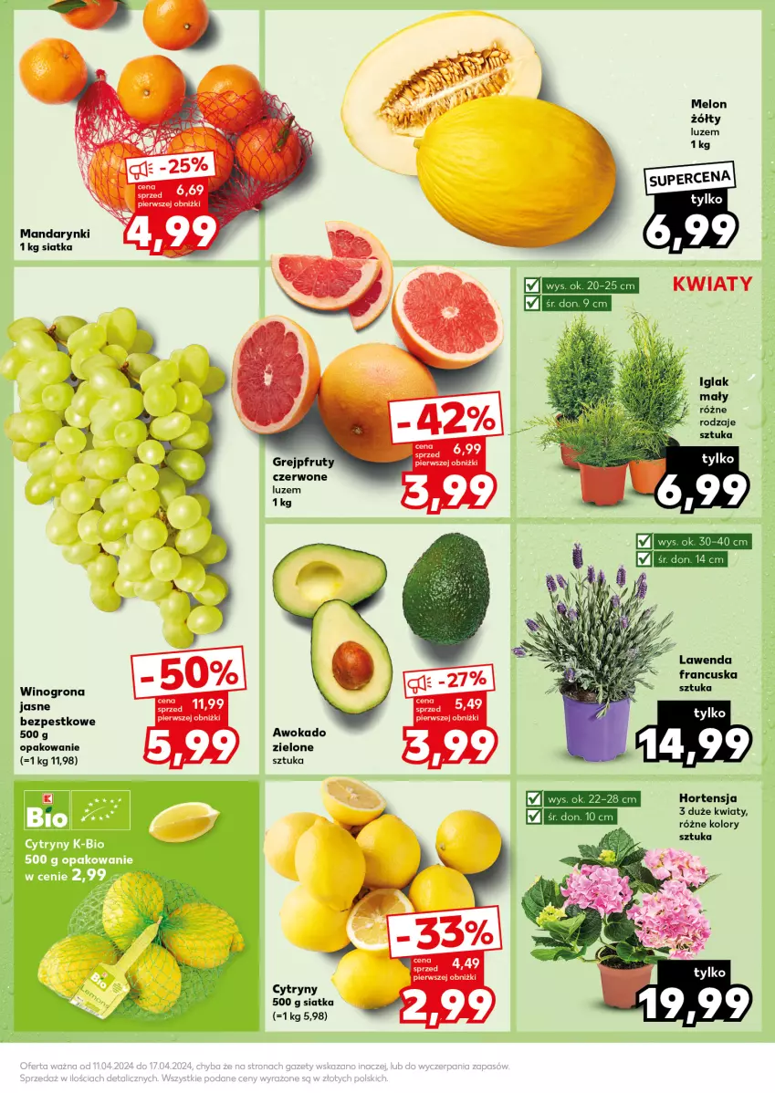 Gazetka promocyjna Kaufland - Kaufland - ważna 15.04 do 17.04.2024 - strona 17 - produkty: Cytryny, Grejpfrut, Mandarynki, Siatka, Wino, Winogrona