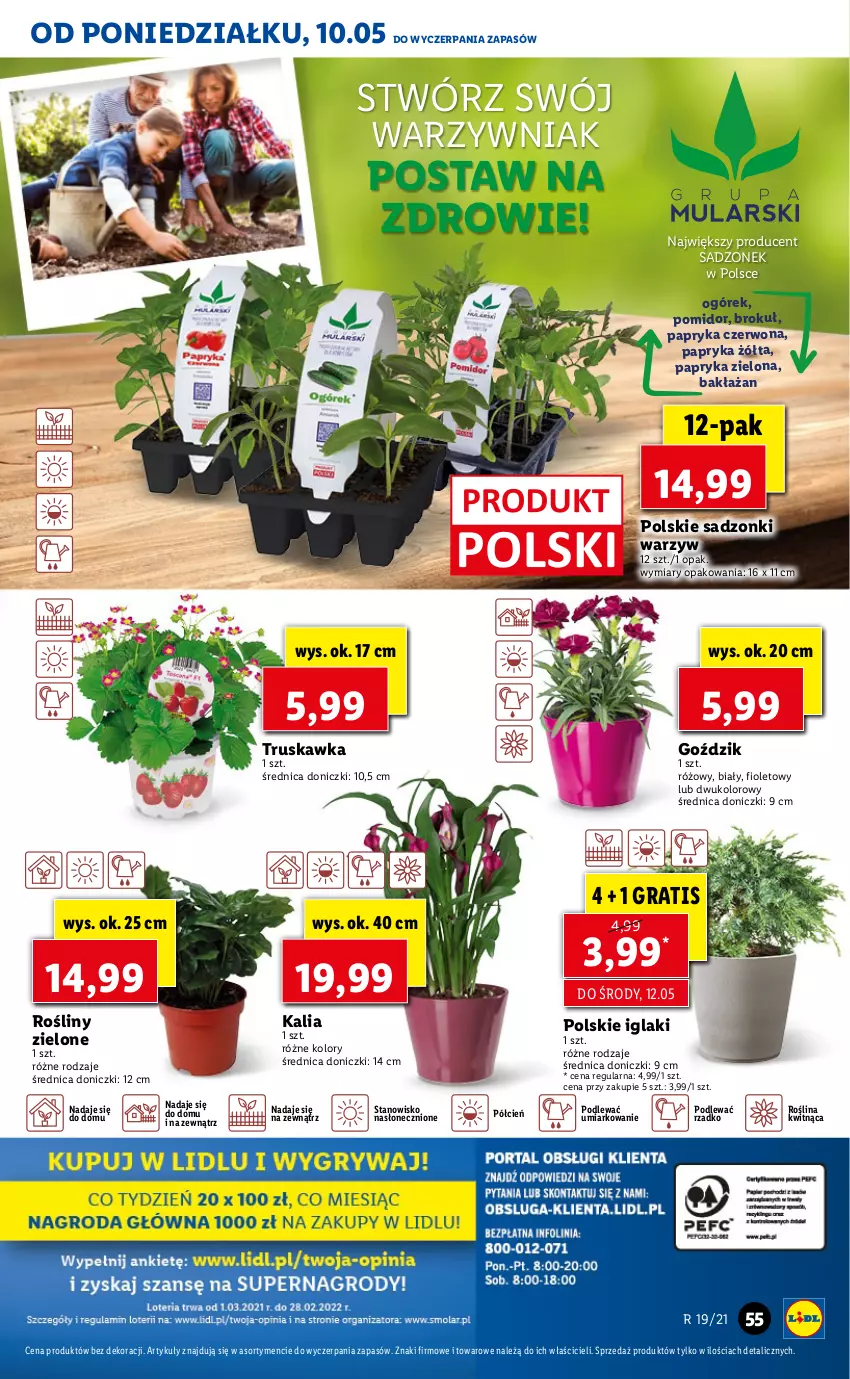 Gazetka promocyjna Lidl - GAZETKA - ważna 10.05 do 12.05.2021 - strona 55 - produkty: Cień, Gra, O nas, Ogórek, Papryka, Papryka czerwona, Papryka żółta, Zdrowie