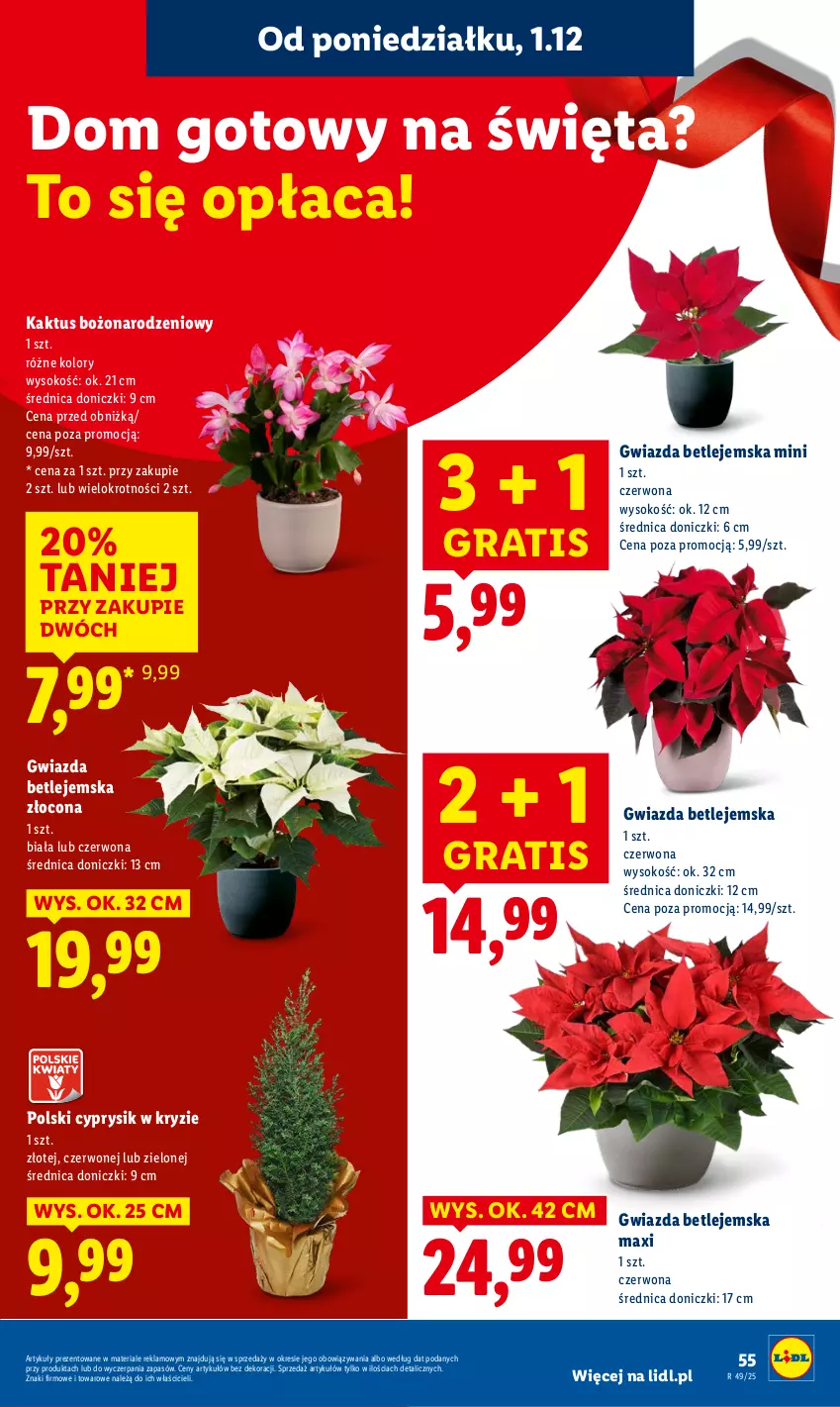 Gazetka promocyjna Lidl - GAZETKA - ważna 01.12 do 03.12.2025 - strona 57 - produkty: Cyprysik, Gra, Gwiazda, Kaktus, Sok