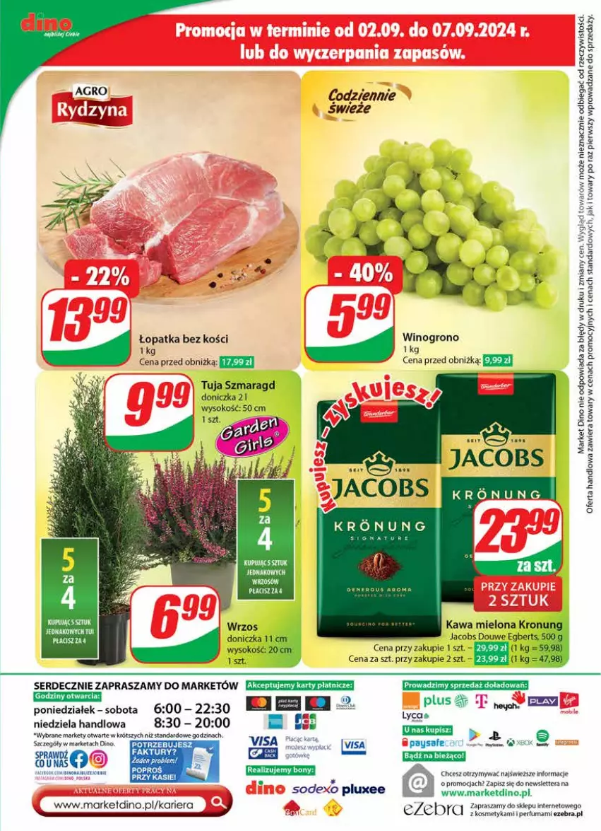 Gazetka promocyjna Dino - Gazetka 36 / 2024 - ważna 04.09 do 10.09.2024 - strona 66 - produkty: Fa, Jacobs, Kawa, Kawa mielona, Noż, Perfum, Ser, Sok, Tera, Wino