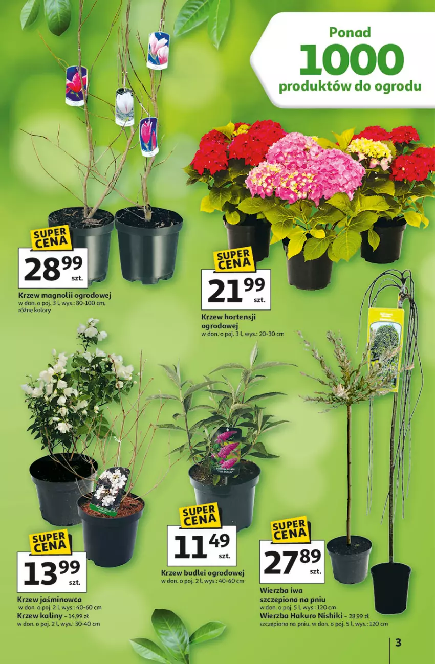 Gazetka promocyjna Auchan - Gazetka Strefa Ogród Hipermarket Auchan - ważna 12.03 do 04.04.2026 - strona 3