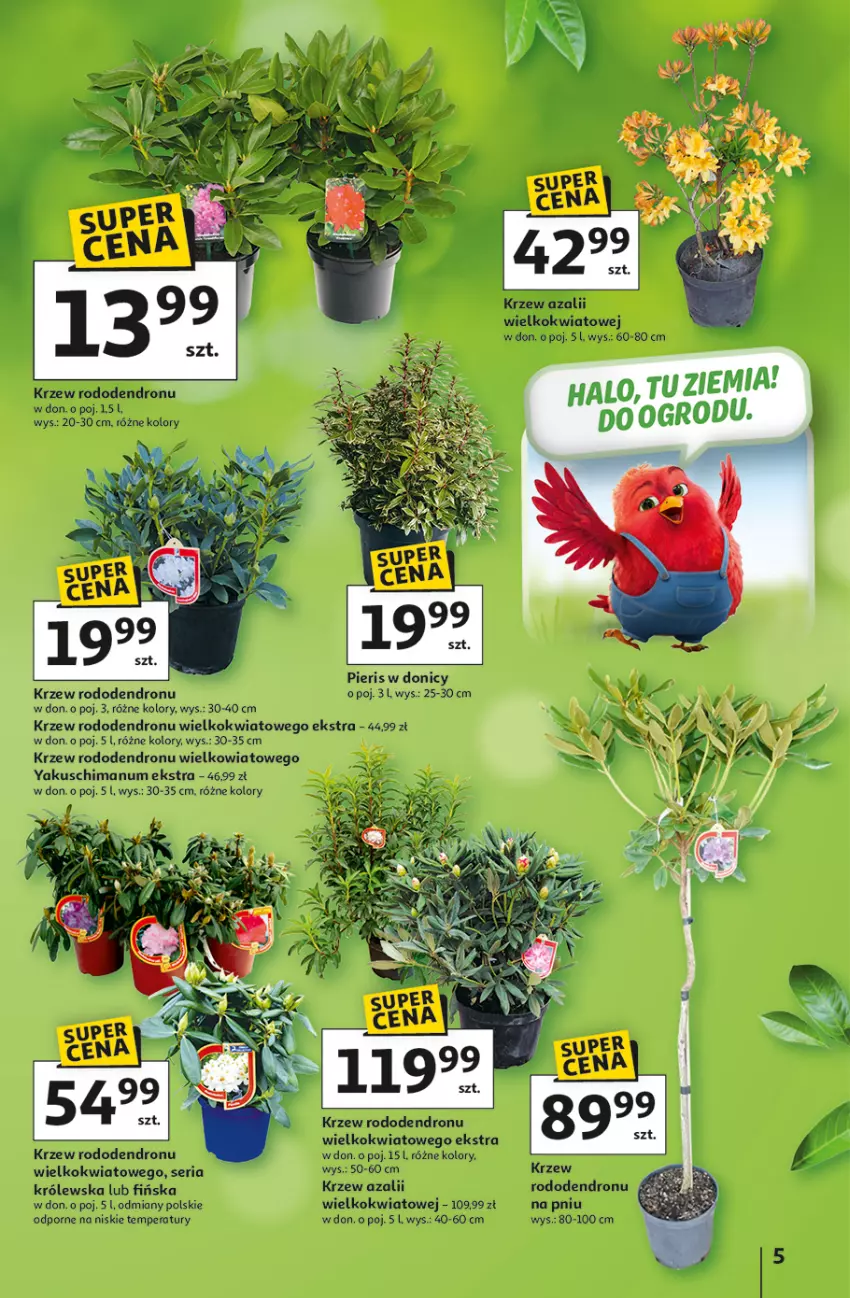 Gazetka promocyjna Auchan - Gazetka Strefa Ogród Hipermarket Auchan - ważna 12.03 do 04.04.2026 - strona 5 - produkty: Dron, Por, Ser