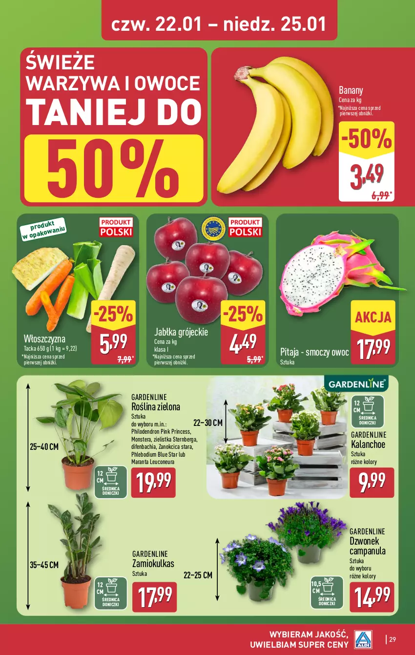 Gazetka promocyjna Aldi - Pełna oferta - ważna 19.01 do 25.01.2026 - strona 29 - produkty: Banany, Campanula, Chia, Dron, Dzwonek, Jabłka, Kalanchoe, NBA, Owoce, Tera, Warzywa, Warzywa i owoce