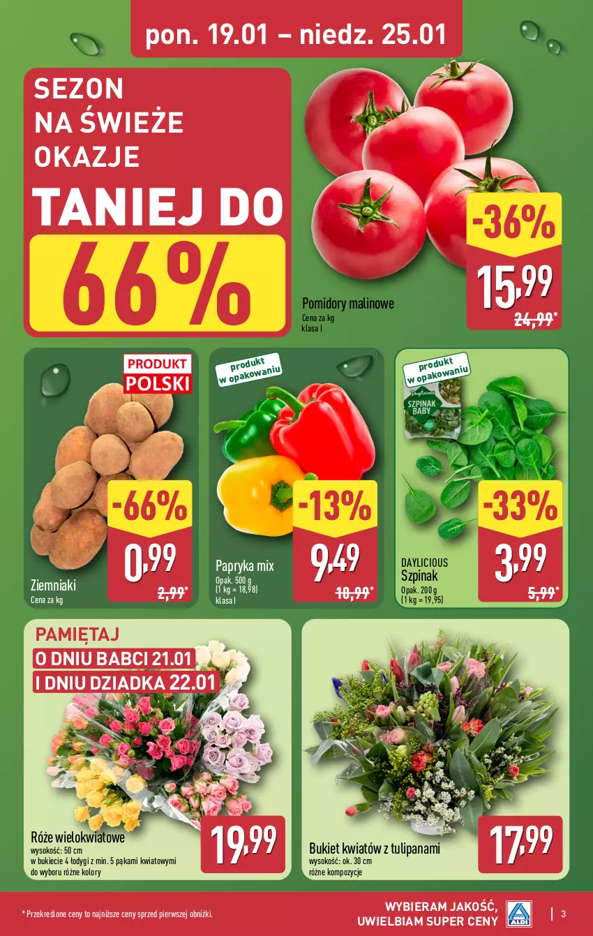 Gazetka promocyjna Aldi - Pełna oferta - ważna 19.01 do 25.01.2026 - strona 3 - produkty: Bukiet, Mięta, Papryka, Pomidory, Sok, Szpinak, Tulipan, Ziemniaki