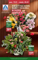 Gazetka promocyjna Aldi - Pełna oferta - Gazetka - ważna od 25.01 do 25.01.2026 - strona 16 - produkty: Sok, Tulipan, Bukiet