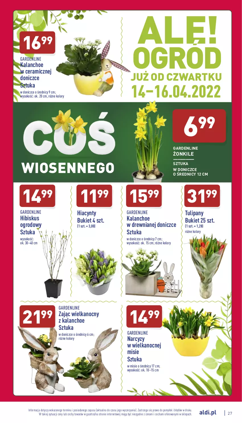 Gazetka promocyjna Aldi - Pełny katalog - ważna 11.04 do 16.04.2022 - strona 27 - produkty: Bukiet, Hiacynt, Hibiskus, Kalanchoe, Narcyz, Sok, Tulipan