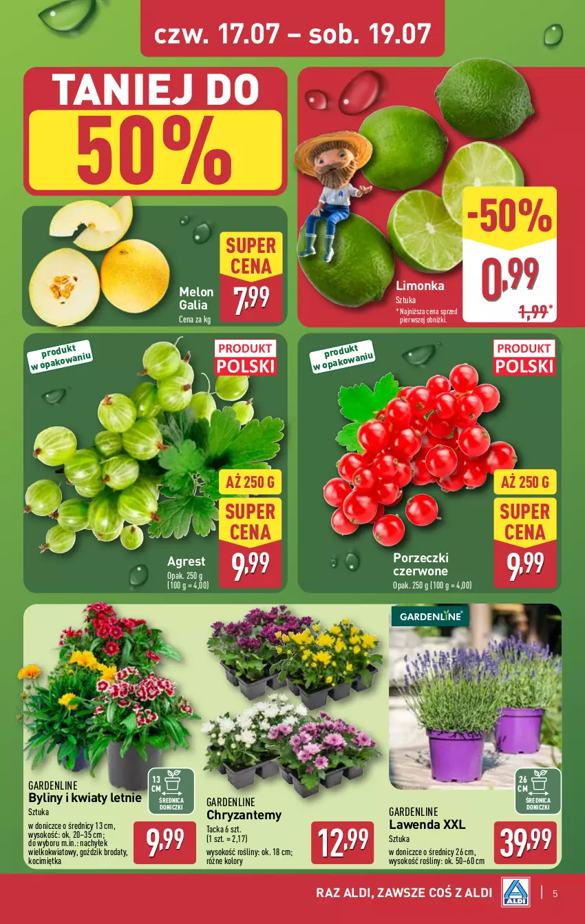 Gazetka promocyjna Aldi - Oferta weekendowa - ważna 17.07 do 19.07.2025 - strona 5 - produkty: Gres, Koc, Limonka, Melon, Por, Porzeczki czerwone, Sok