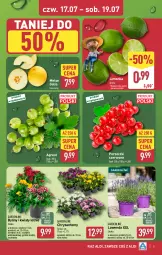Gazetka promocyjna Aldi - Oferta weekendowa - Gazetka - ważna od 19.07 do 19.07.2025 - strona 5 - produkty: Sok, Por, Koc, Porzeczki czerwone, Limonka, Gres, Melon