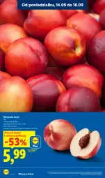 Gazetka promocyjna Lidl - Gazetka ważna od 14.09 do 16.09 - Gazetka - ważna od 16.09 do 16.09.2026 - strona 14 - produkty: Nektar