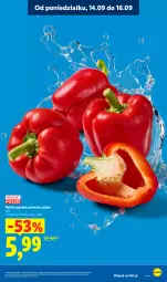 Gazetka promocyjna Lidl - Gazetka ważna od 14.09 do 16.09 - Gazetka - ważna od 16.09 do 16.09.2026 - strona 15 - produkty: Papryka czerwona, Papryka