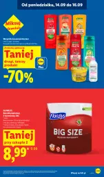 Gazetka promocyjna Lidl - Gazetka ważna od 14.09 do 16.09 - Gazetka - ważna od 16.09 do 16.09.2026 - strona 19 - produkty: Papier, Ręcznik, Garnier, Flora