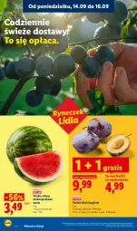 Gazetka promocyjna Lidl - Gazetka ważna od 14.09 do 16.09 - Gazetka - ważna od 16.09 do 16.09.2026 - strona 28 - produkty: Gra, Arbuz