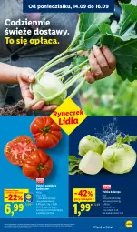 Gazetka promocyjna Lidl - Gazetka ważna od 14.09 do 16.09 - Gazetka - ważna od 16.09 do 16.09.2026 - strona 29 - produkty: Pomidory