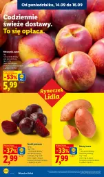 Gazetka promocyjna Lidl - Gazetka ważna od 14.09 do 16.09 - Gazetka - ważna od 16.09 do 16.09.2026 - strona 30 - produkty: Buraki, Nektar