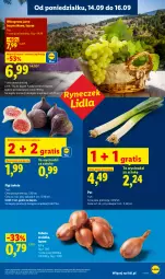 Gazetka promocyjna Lidl - Gazetka ważna od 14.09 do 16.09 - Gazetka - ważna od 16.09 do 16.09.2026 - strona 31 - produkty: Cebula, Por, Gra, Cebula szalotka, Szal, Winogrona, Figi, Wino, Olej