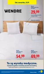 Gazetka promocyjna Lidl - GAZETKA - Gazetka - ważna od 10.01 do 10.01.2026 - strona 29 - produkty: Kołdra, Aloe vera, Poduszka
