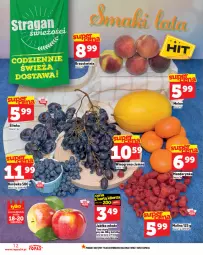 Gazetka promocyjna Topaz - Gazetka - Gazetka - ważna od 20.08 do 20.08.2025 - strona 12 - produkty: Top, Borówka