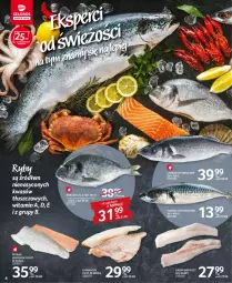 Gazetka promocyjna Selgros - Oferta spożywcza - Gazetka - ważna od 02.03 do 02.03.2022 - strona 4 - produkty: Sos, Grenadier, Pstrąg, Pstrąg łososiowy