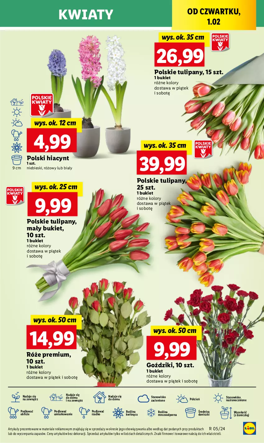 Gazetka promocyjna Lidl - GAZETKA - ważna 01.02 do 03.02.2024 - strona 43 - produkty: Bukiet, Cień, Hiacynt, O nas, Por, Sok, Tulipan