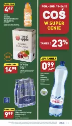 Gazetka promocyjna Aldi - Pełny katalog - Gazetka - ważna od 24.12 do 24.12.2022 - strona 19 - produkty: Kasza jaglana, Sok, Mus, Gra, Granat, Płatki owsiane, LANA, Winogrona, Smoothie, Danio, Woda mineralna, Woda, Wino, Kasza, Mango, Cisowianka, Hortex