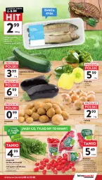 Gazetka promocyjna Intermarche - Gazetka Intermarche - Gazetka - ważna od 12.08 do 12.08.2026 - strona 13 - produkty: Cebula, Pstrąg tęczowy, Ryba, Papryka, Sałat, Pstrąg, Natka pietruszki