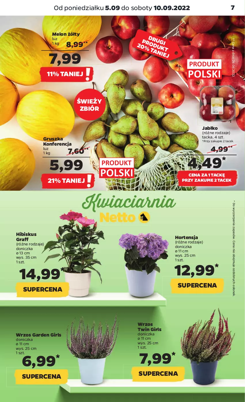 Gazetka promocyjna Netto - Artykuły spożywcze - ważna 05.09 do 10.09.2022 - strona 7 - produkty: Gra, Hibiskus, Melon