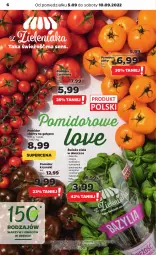 Gazetka promocyjna Netto - Artykuły spożywcze - Gazetka - ważna od 10.09 do 10.09.2022 - strona 6 - produkty: Pietruszka, Kolendra, Zioła w doniczce, Bazyl, Bazylia, Mięta