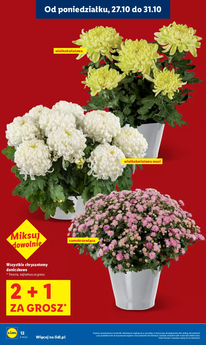 Gazetka promocyjna Lidl - GAZETKA - ważna 27.10 do 29.10.2025 - strona 12