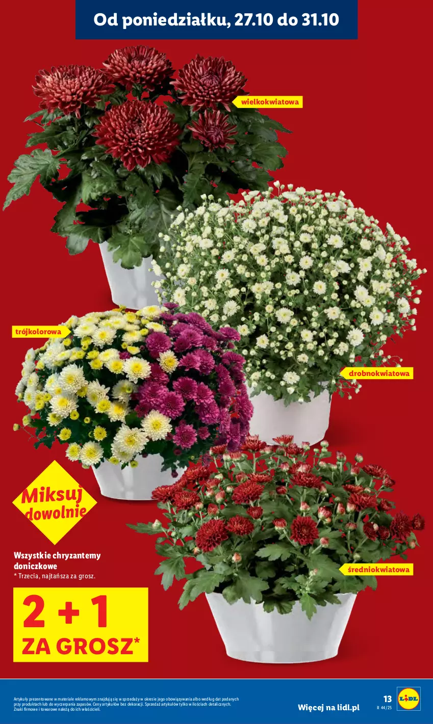 Gazetka promocyjna Lidl - GAZETKA - ważna 27.10 do 29.10.2025 - strona 13