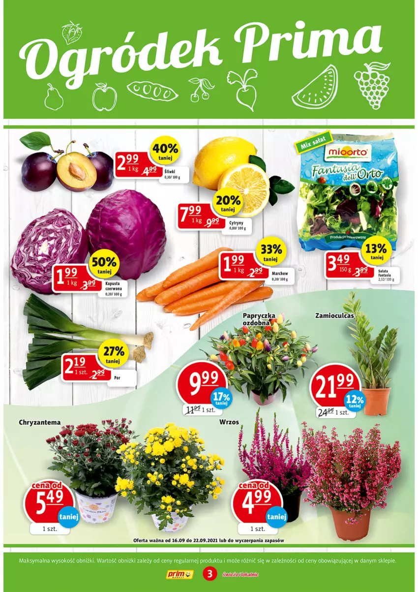 Gazetka promocyjna Prim Market - Gazetka - ważna 16.09 do 22.09.2021 - strona 3 - produkty: Chryzantema, Cytryny, Fa, Fanta, Sałat