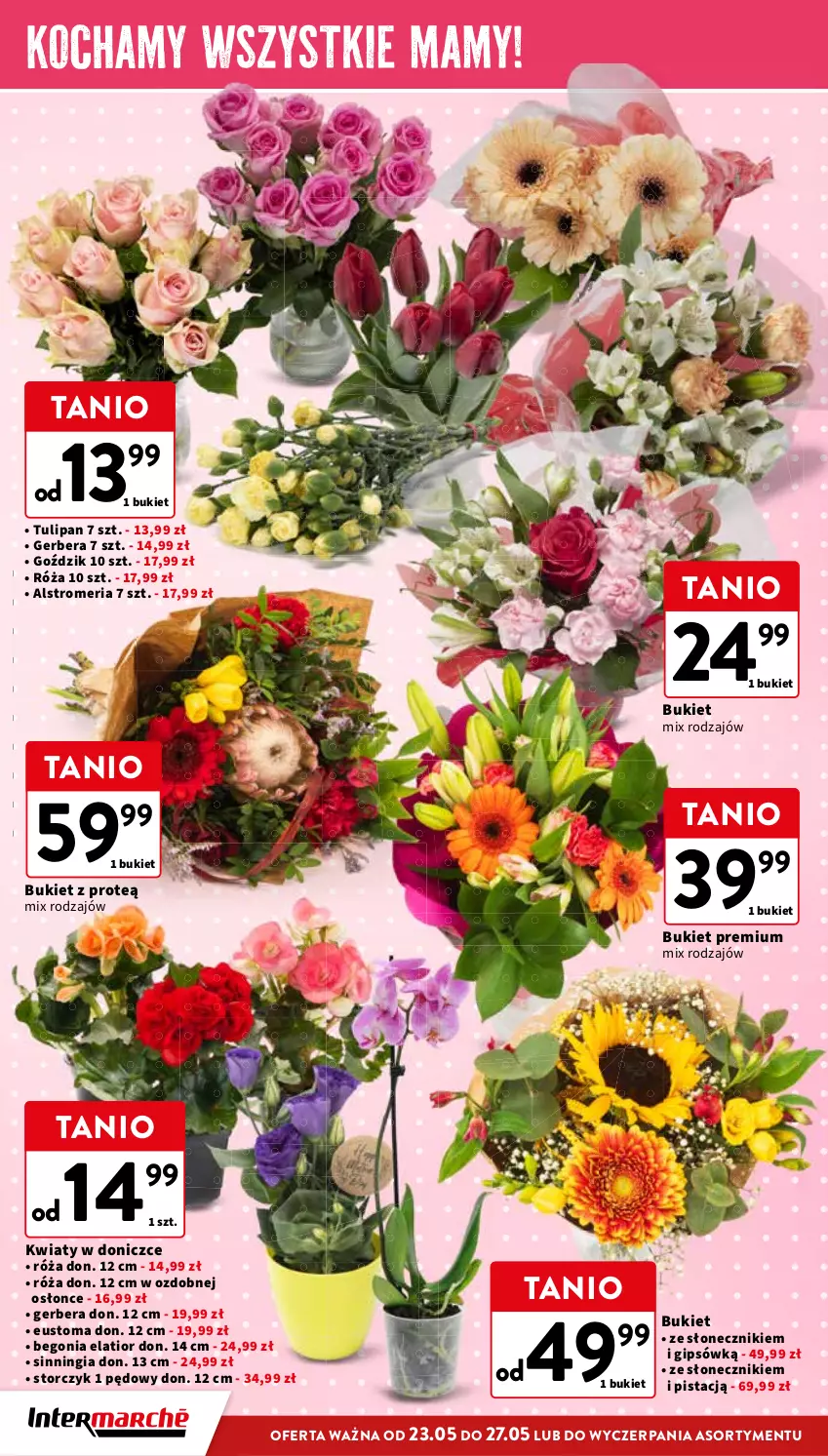 Gazetka promocyjna Intermarche - Gazetka Intermarche - ważna 23.05 do 27.05.2024 - strona 2 - produkty: Bukiet, Gerber, Koc, Róża, Storczyk, Tulipan