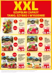 Gazetka promocyjna Kaufland - Kaufland - Gazetka - ważna od 18.09 do 18.09.2024 - strona 11 - produkty: Sok pomarańczowy, Sok, Sok jabłkowy, Jabłka