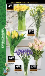 Gazetka promocyjna Delikatesy Centrum - Franczyza DC14 Czwartek - Gazetka - ważna od 08.04 do 08.04.2026 - strona 12 - produkty: Tulipan, Bukiet