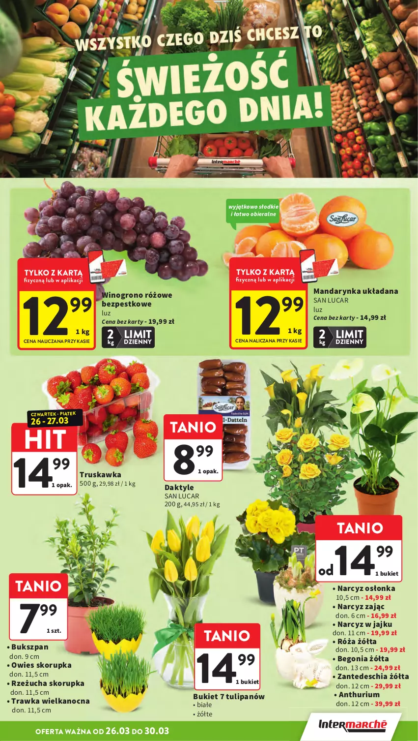 Gazetka promocyjna Intermarche - Gazetka Intermarche - ważna 26.03 do 30.03.2026 - strona 15 - produkty: Bukiet, Chia, Daktyle, Narcyz, Osłonka, Róża, Rzeżucha, Tulipan, Wino