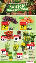 Gazetka promocyjna Intermarche - Gazetka Intermarche - Gazetka - ważna od 30.03 do 30.03.2026 - strona 15 - produkty: Tulipan, Róża, Rzeżucha, Chia, Daktyle, Bukiet, Narcyz, Wino, Osłonka