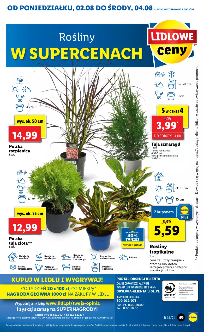 Gazetka promocyjna Lidl - GAZETKA - ważna 02.08 do 04.08.2021 - strona 49 - produkty: Cień, Gry, Mola, O nas, Por, Sok