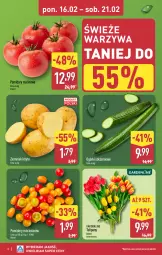 Gazetka promocyjna Aldi - Pełna oferta - Gazetka - ważna od 21.02 do 21.02.2026 - strona 2 - produkty: Warzywa, Tulipan, Ziemniaki, Bukiet, Pomidory