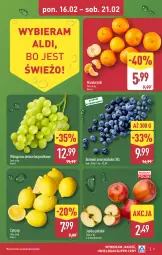 Gazetka promocyjna Aldi - Pełna oferta - Gazetka - ważna od 21.02 do 21.02.2026 - strona 3 - produkty: Mandarynki, Cytryny, Winogrona, Paleta, Wino, Jabłka