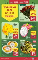Gazetka promocyjna Aldi - Pełna oferta - Gazetka - ważna od 21.02 do 21.02.2026 - strona 5 - produkty: Kurczak, All Seasons, Sos, Bukiet, Narcyz