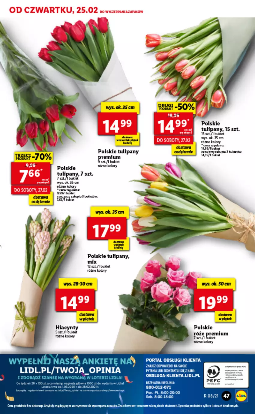 Gazetka promocyjna Lidl - GAZETKA - ważna 25.02 do 27.02.2021 - strona 47 - produkty: Bukiet, Fa, Hiacynt, Kiwi, Tulipan