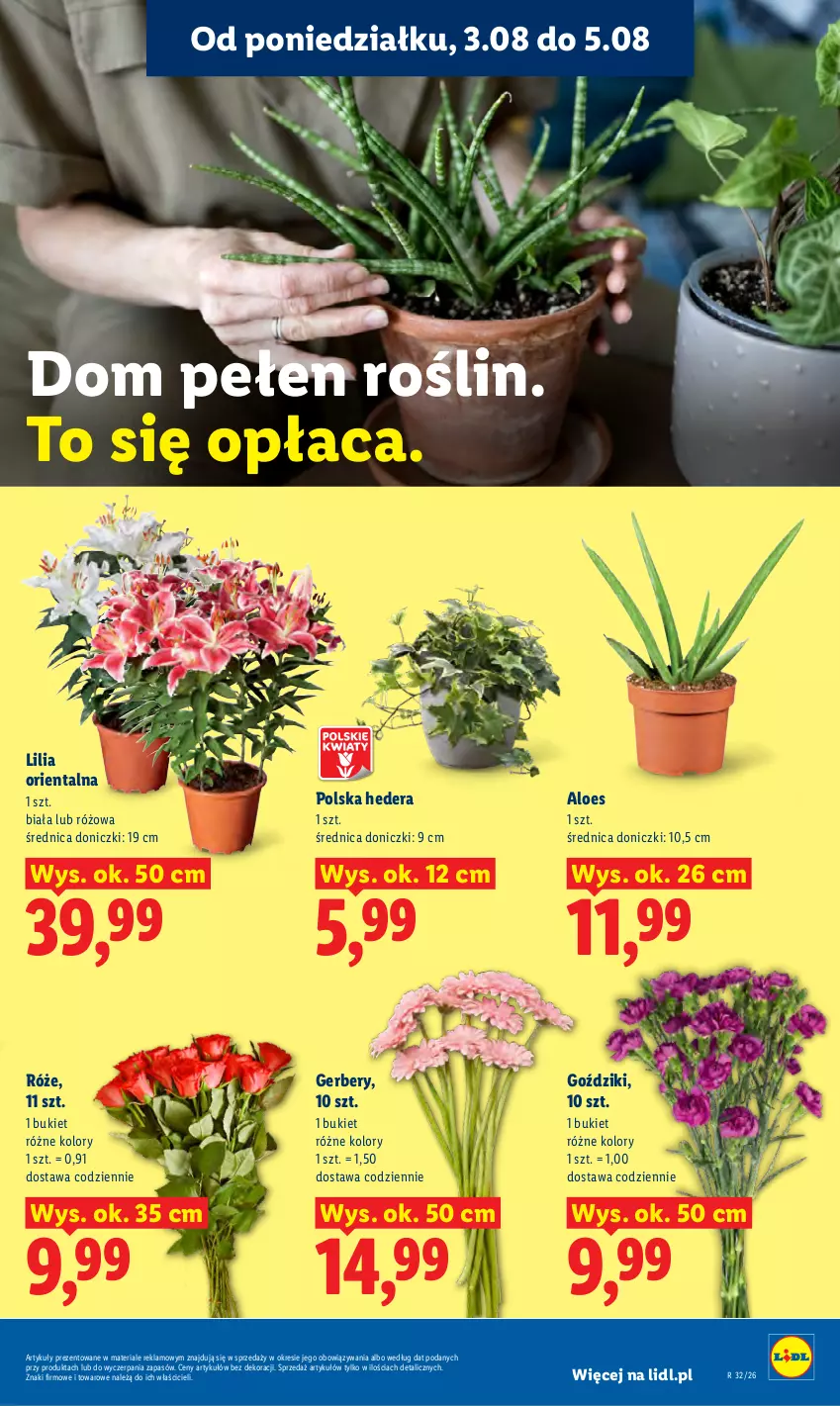 Gazetka promocyjna Lidl - Gazetka ważna od 3.08 do 5.08 - ważna 03.08 do 05.08.2026 - strona 91 - produkty: Bukiet, Gerber