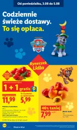 Gazetka promocyjna Lidl - Gazetka ważna od 3.08 do 5.08 - Gazetka - ważna od 05.08 do 05.08.2026 - strona 42 - produkty: Ser, Gra, Pomidory